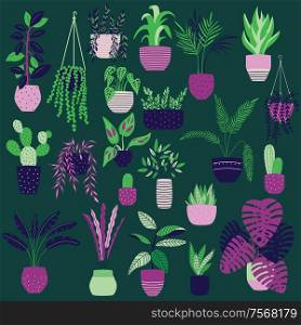 Collection of hand drawn indoor house plants on dark green background. Collection of potted plants. Colorful flat vector illustration