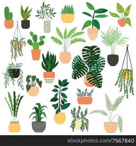 Collection of hand drawn indoor house plants on white background. Collection of potted plants. Colorful flat vector illustration