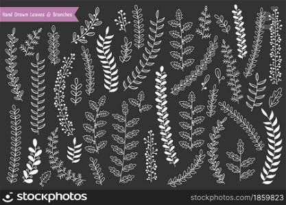 Collection of hand drawn leaves and branches on dark background, vector eps10 illustration. Hand Drawn Leaves and Branches