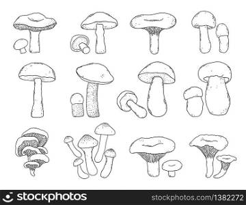 Collection of hand drawn mushrooms in doodle style on white background.. Collection of hand drawn mushrooms