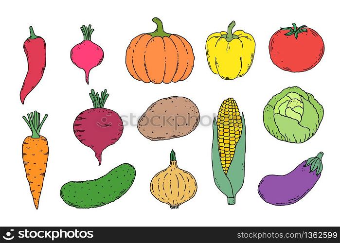Collection of hand drawn vegetables icons on white background
