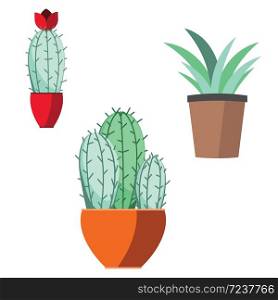 Collection of house plants abstract illustration on white background.