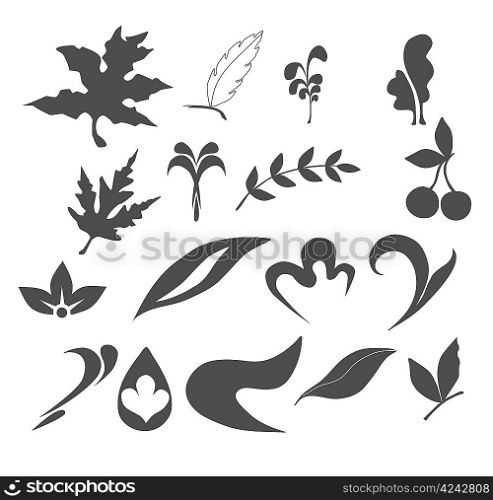 Collection of Leaf nature icons