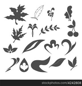 Collection of Leaf nature icons
