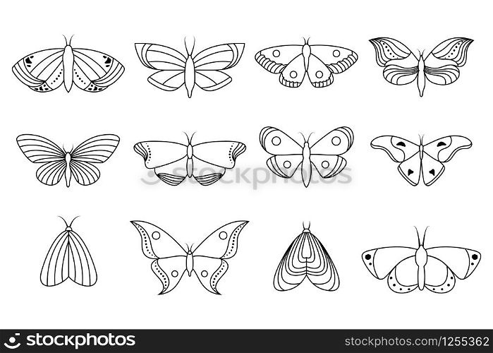 Collection of line icons butterflies on white background