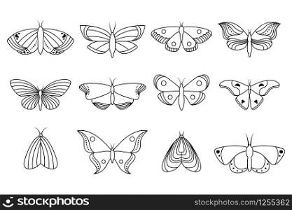 Collection of line icons butterflies on white background