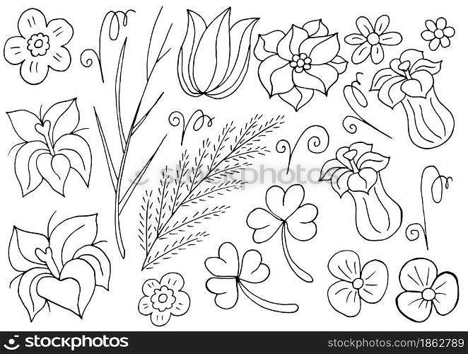Collection of Monochrome elements. Flowers and leaves in hand draw style. Elements for your design. Tulips and bells. Floral illustration in hand draw style