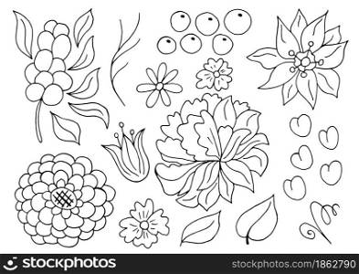 Collection of Monochrome floral elements. Flowers and leaves in hand draw style. Elements for your design. Peonies and berries. Floral illustration in hand draw style