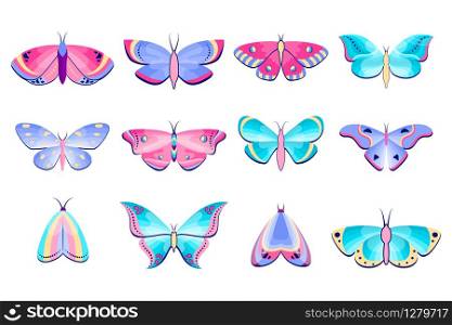Collection of moths and butterflies on white background