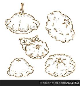 Collection of pattyson vegetables. Beautiful different patisson. Vector illustration. isolated Linear hand drawing, outline for design, decor and decoration