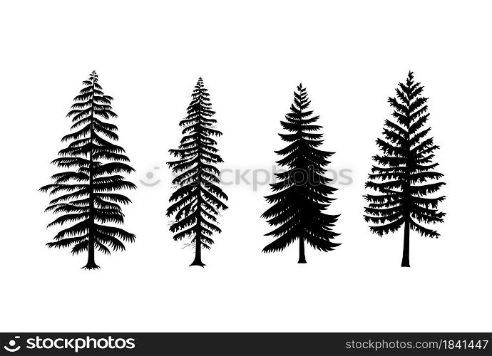Collection of pine trees vector isolated white background