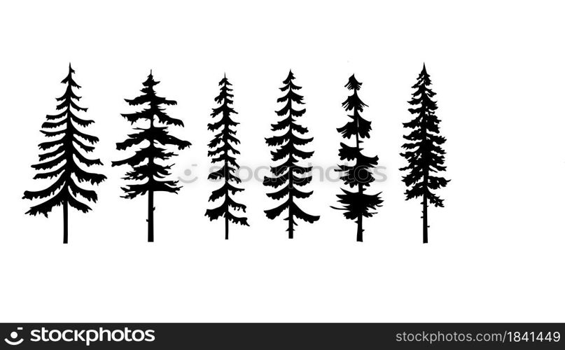 Collection of pine trees vector isolated white background