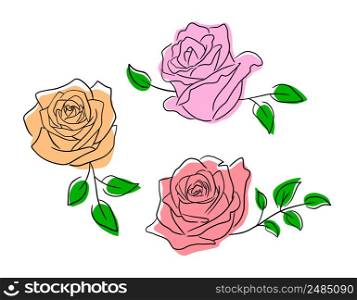 Collection of roses. Vector illustration. Happy Valentine&rsquo;s day.