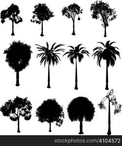 Collection of silhouette trees over a white background