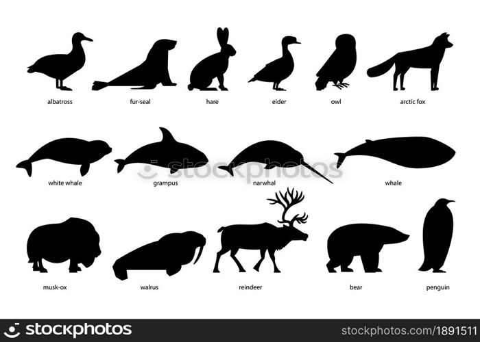 Collection of silhouettes of Arctic Animals