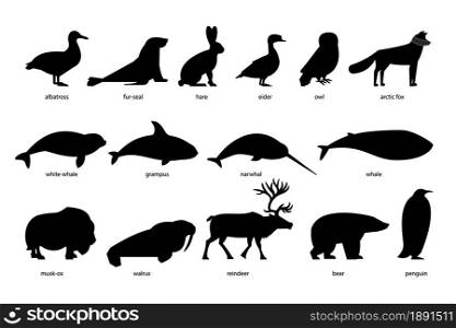 Collection of silhouettes of Arctic Animals