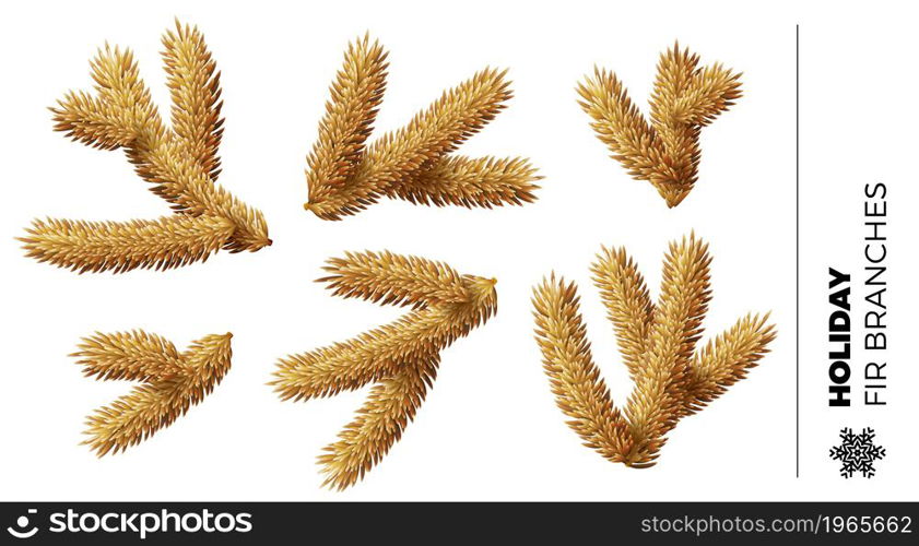 Collection of small golden fir tree branches for Christmas or New Year holidays greeting card and ornament