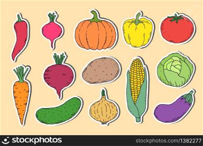 Collection of stickers with hand drawn vegetables on light background. stickers with hand drawn vegetables