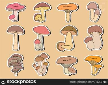 Collection of stickers with mushrooms in doodle style.. Collection of stickers