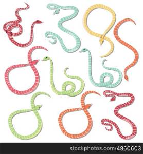 Collection of ten colorful striped snakes hand drawn, vector illustration