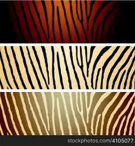 Collection of three zebra patterns with camouflage effect
