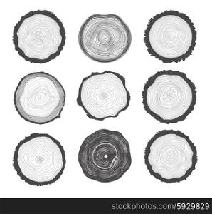 Collection of Tree Rings. Collection set of 9 tree rings. Black color on white background