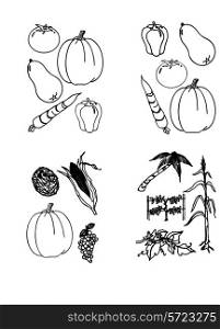 Collection of various vector vegetables in planimetric execution