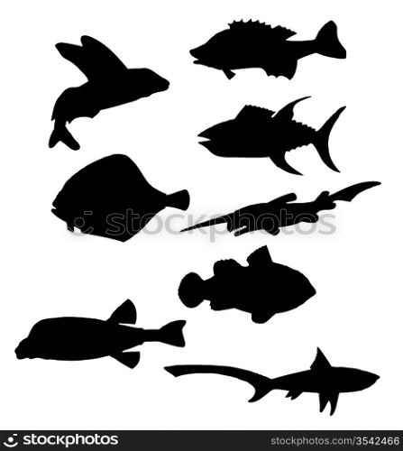 Collection of vector black silhouettes of various sea fishes