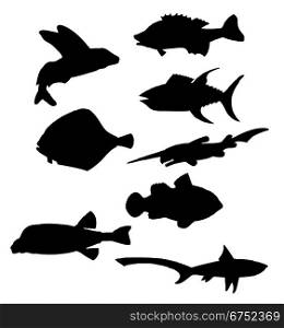 Collection of vector black silhouettes of various sea fishes