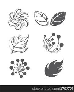 Collection of vector design elements. Lots of useful elements to embellish your layout