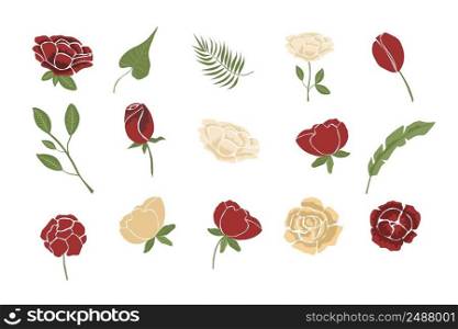 Collection of vector illustrations, colorful flowers, for compositions and design. Isolated on white background. Fashion illustration in trend, set