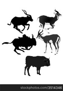 Collection of vector images of antelopes