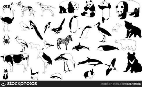 Collection of vector silhouettes of black-and-white animals