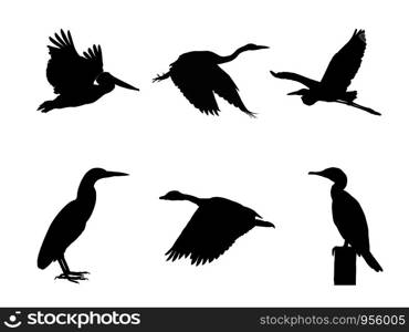 Collection of Water bird Bird on tree branch Silhouettes. Vector illustration isolated on white