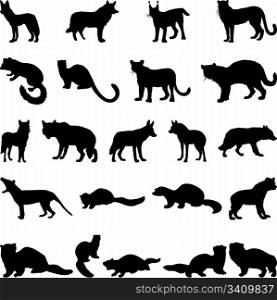 Collection of wolves and martens silhouettes. Vector illustration.