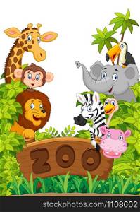 Collection of zoo animals
