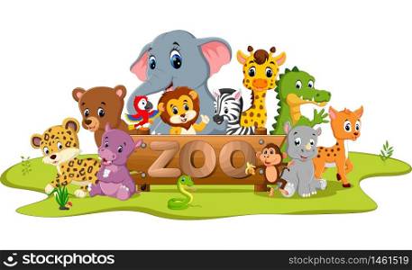 collection of zoo animals