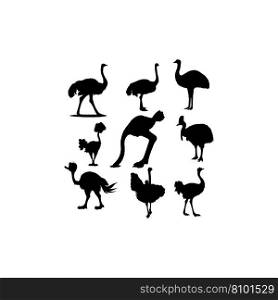 Collection set bird ostrich design Royalty Free Vector Image