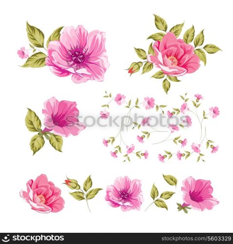 Collection set of flower heads isolated on white background. Vector illustration.