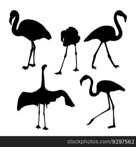 Collection silhouettes of flamingo birds. Vector illustration. Isolated elements tropical birds for design, decor on white background
