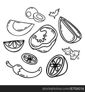 Collection vegetables and fruits. Chili peppers, olives and half tomato, lime slices and lemon, egg and parsley leaf. Vector isolated hand drawings doodle For design and decoration of culinary themes