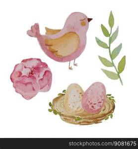 Collection watercolor set with flower ranunculus, pink bird, nest with two eggs and green branch. Vector illustration. Collection watercolor set with flower ranunculus, pink bird, nest with two eggs and green branch.
