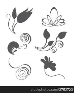 Collections of vector vintage floral design elements, fully editable eps 8 file