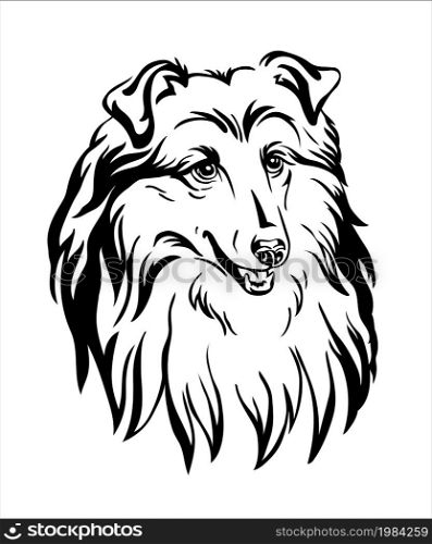Collie dog black contour portrait. Dog head in front view vector illustration isolated on white. For decor, design, print, poster, postcard, sticker, t-shirt, cricut, tattoo and embroidery. Collie dog vector black contour portrait vector