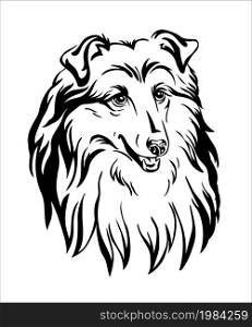 Collie dog black contour portrait. Dog head in front view vector illustration isolated on white. For decor, design, print, poster, postcard, sticker, t-shirt, cricut, tattoo and embroidery. Collie dog vector black contour portrait vector