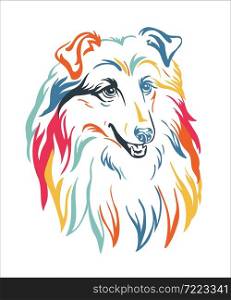 Collie dog color contour portrait. Dog head in front view vector illustration isolated on white. For decor, design, print, poster, postcard, sticker, t-shirt, cricut, tattoo and embroidery. Collie dog vector color contour portrait vector