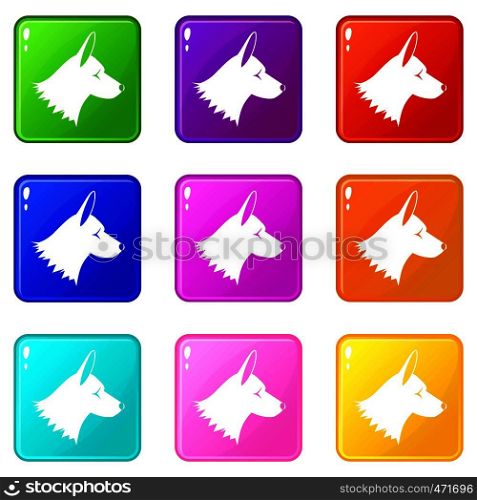 Collie dog icons of 9 color set isolated vector illustration. Collie dog icons 9 set