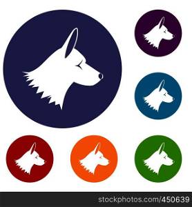 Collie dog icons set in flat circle reb, blue and green color for web. Collie dog icons set