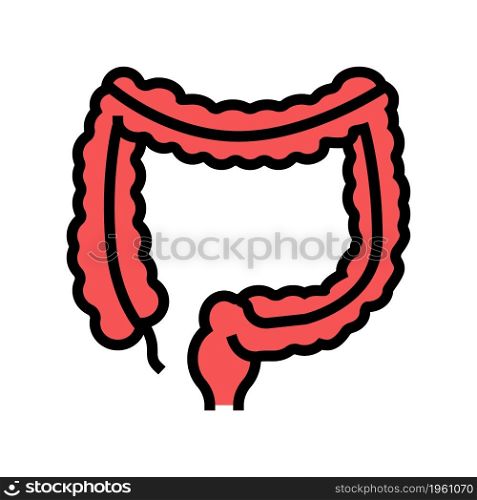 colon human organ color icon vector. colon human organ sign. isolated symbol illustration. colon human organ color icon vector illustration
