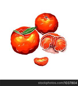 Color cartoon illustrations of mandarin and citrus The object is separate from the background. Illustration for printing on T-shirts, covers, menu and your design.. Color cartoon illustrations of mandarin and citrus The object is separate from the background.